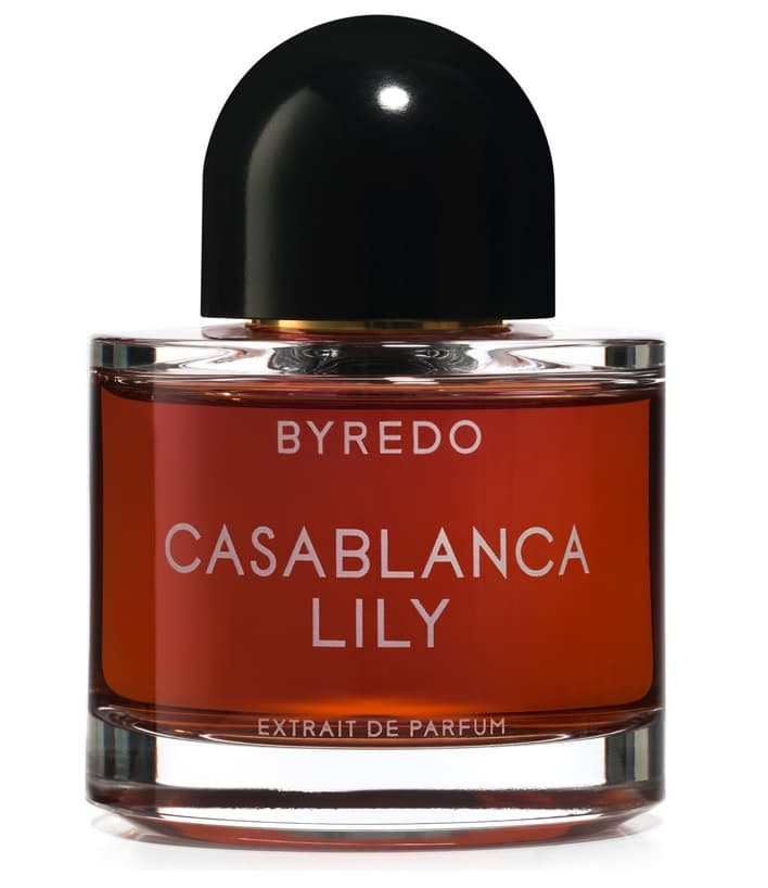Casablanca Lily 2019