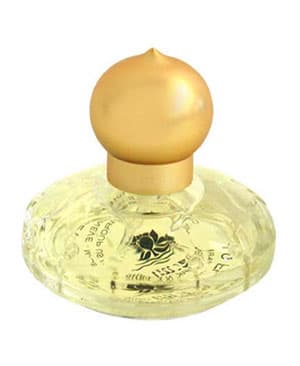 Casmir Fragrance Festival White