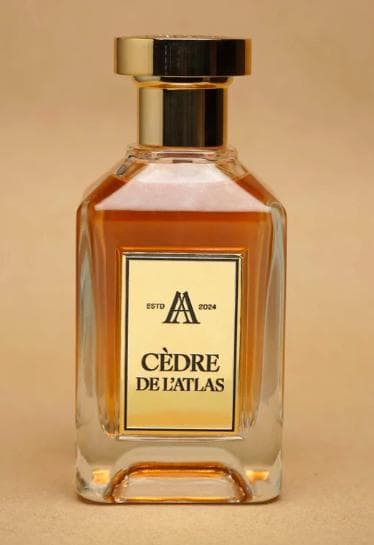 Cèdre de l’Atlas