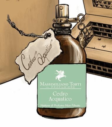 Cedro Acquatico