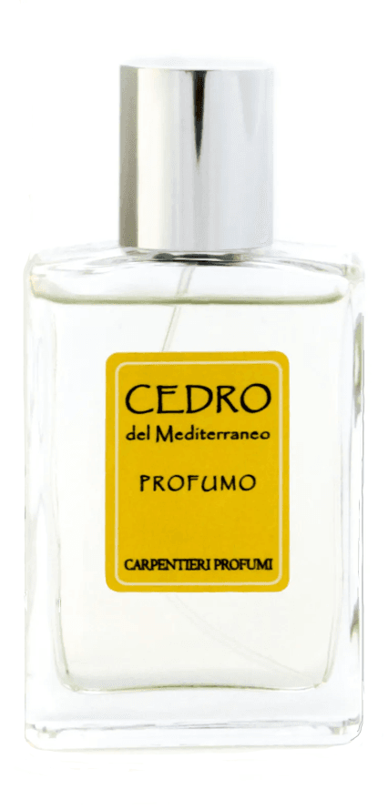 Cedro del Mediterraneo