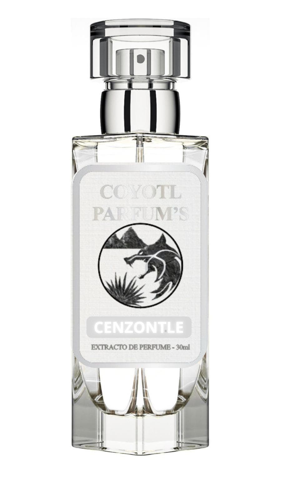 Cenzontle