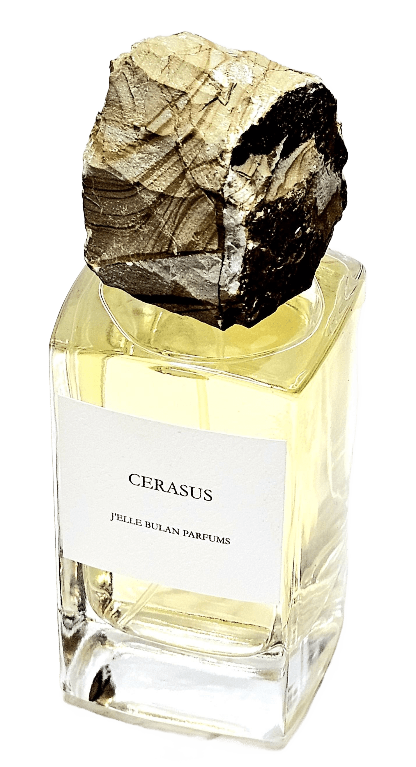 Cerasus