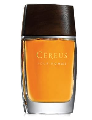 Cereus No. 14