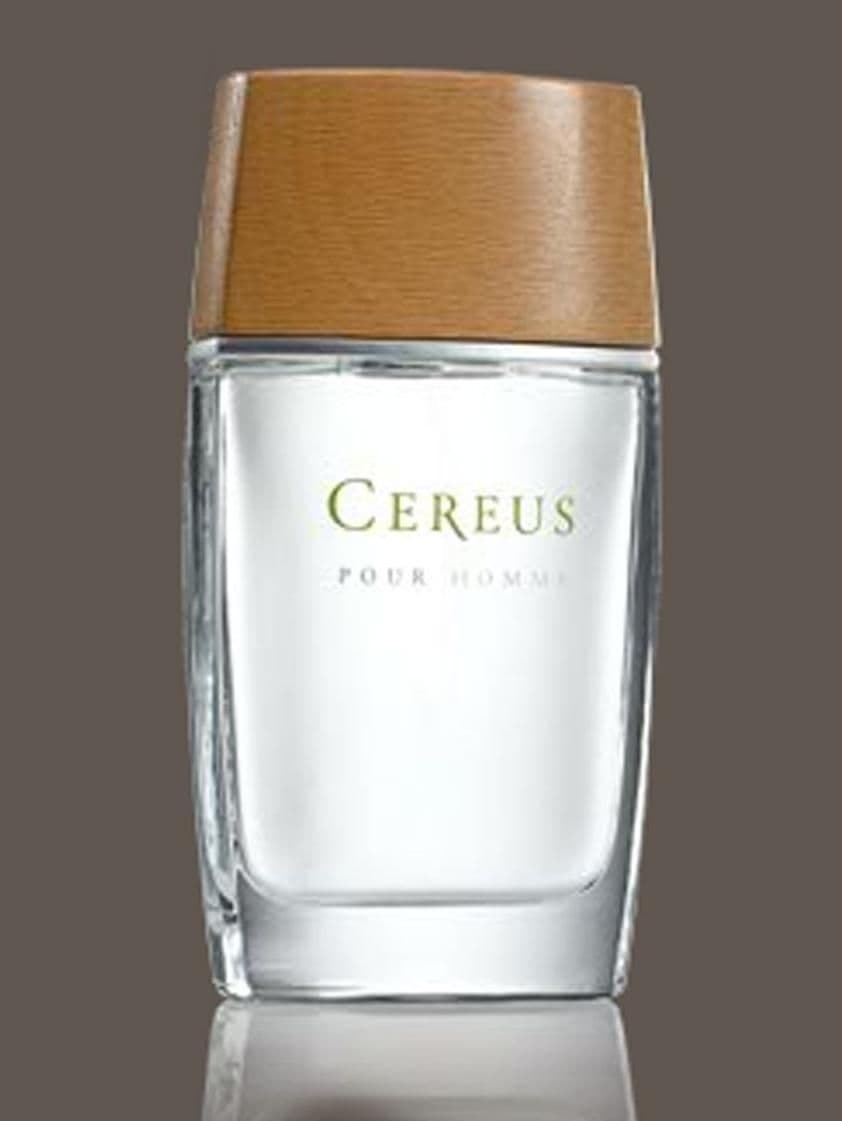 Cereus No.4