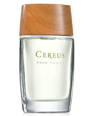 Cereus No. 6