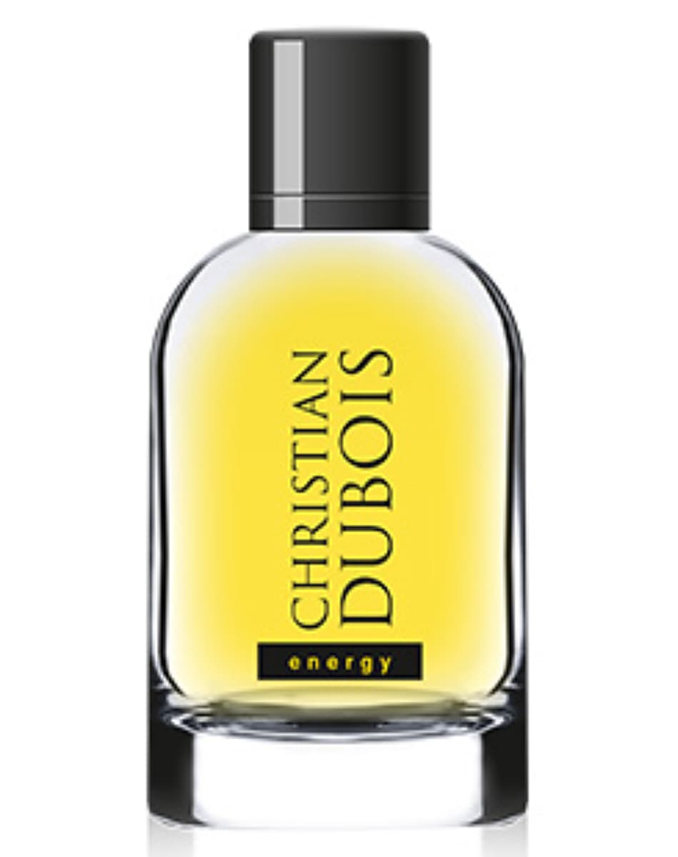 Christian Dubois Energy
