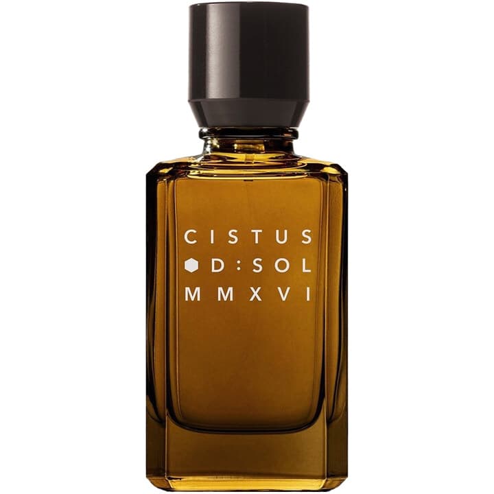 Cistus