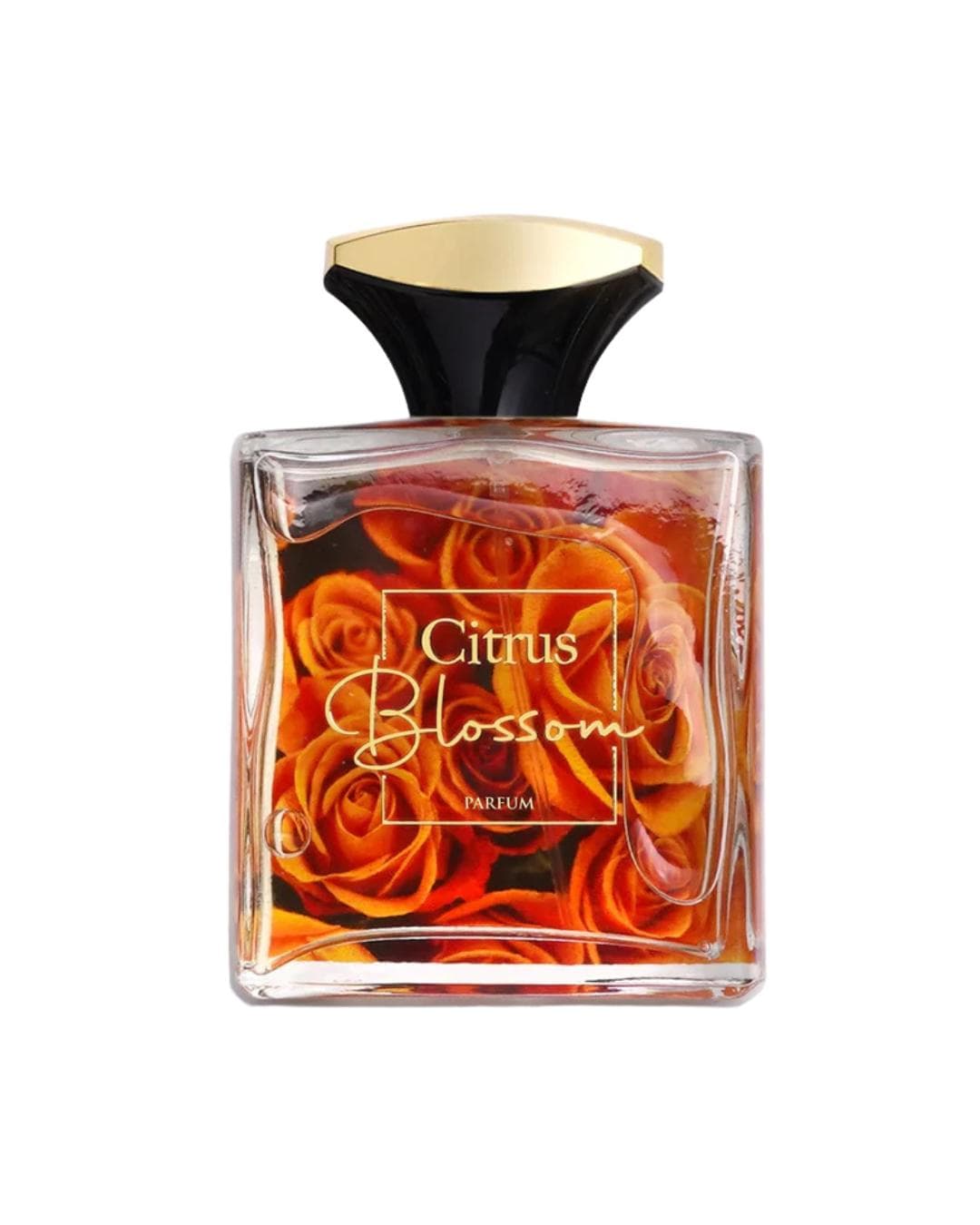 Citrus Blossom