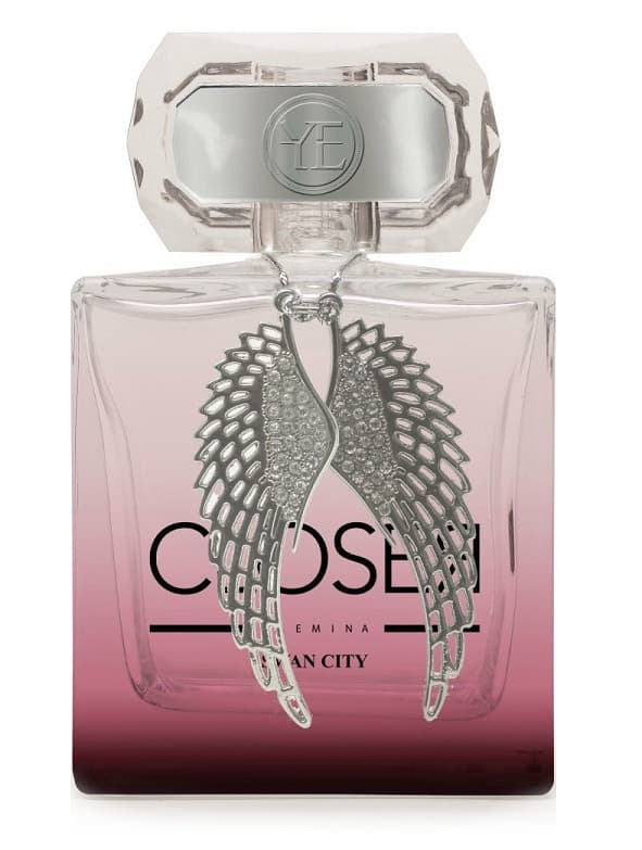 Closer Swan City