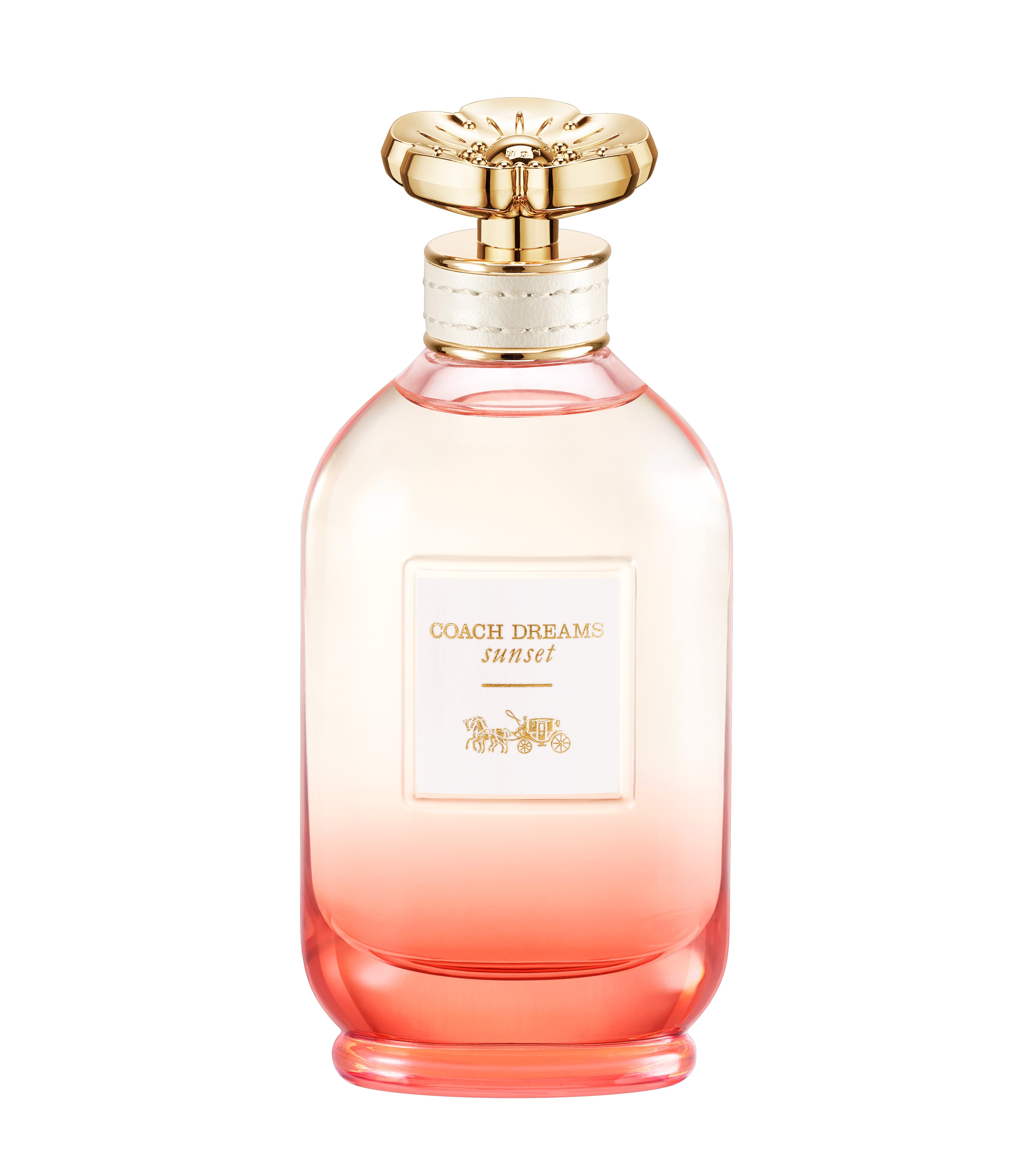 Coach Dreams Sunset