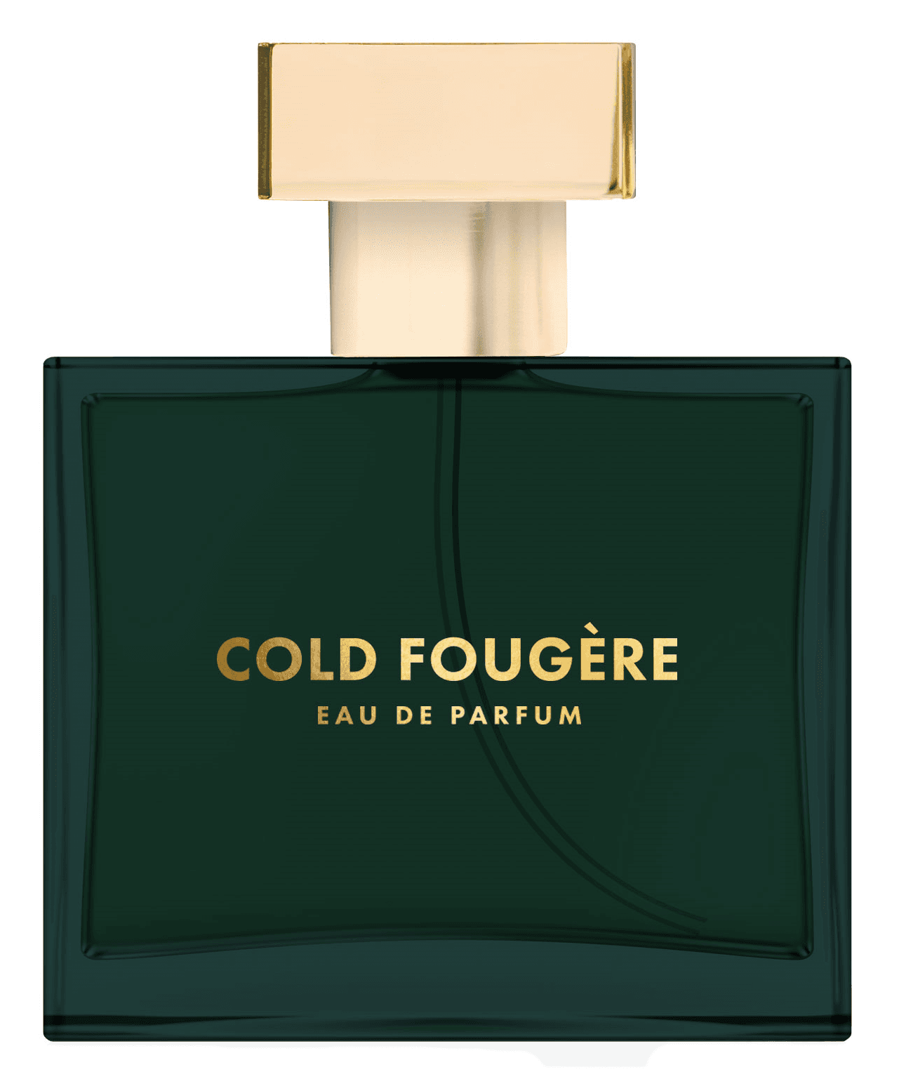 Cold Fougère