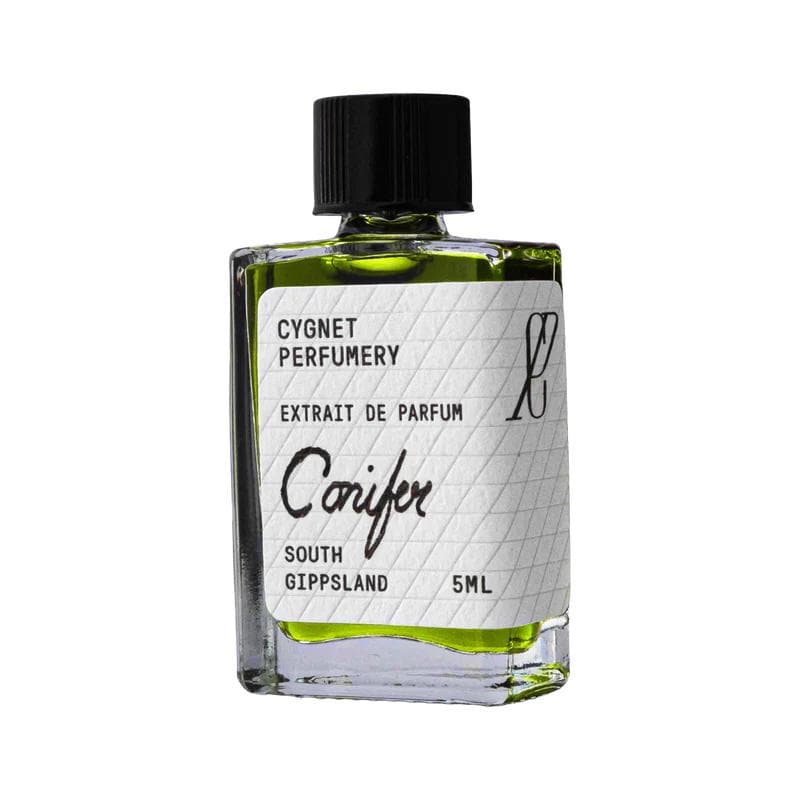 Conifer