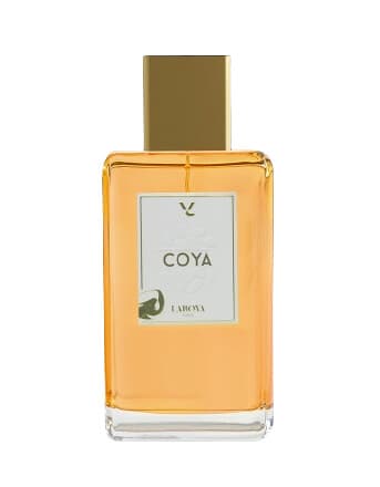 Coya