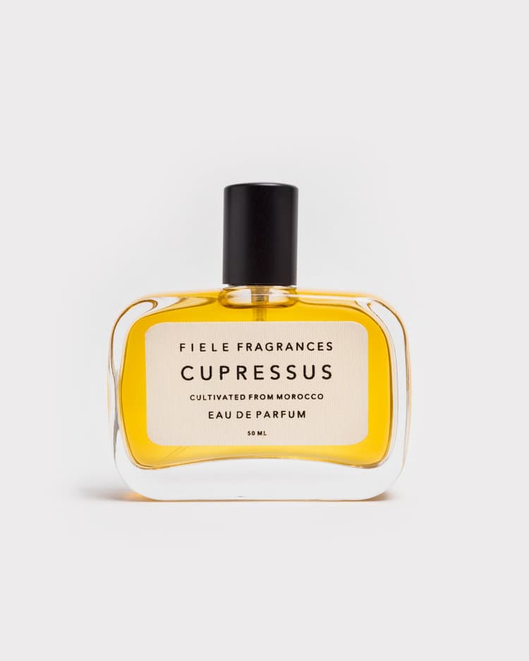 Cupressus