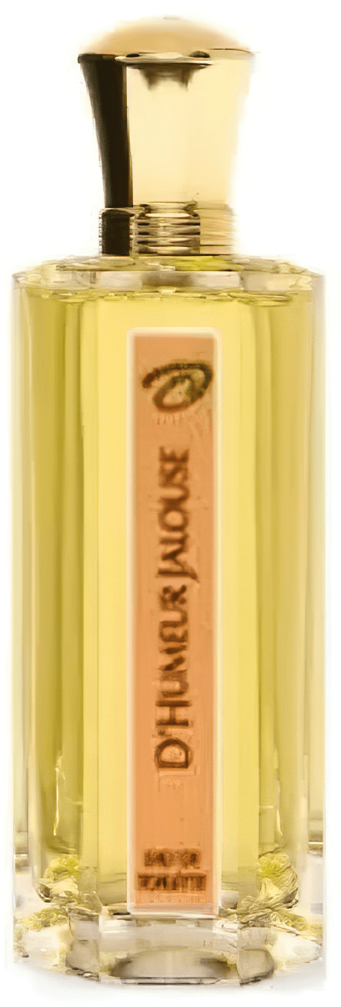 D'Humeur Jalouse