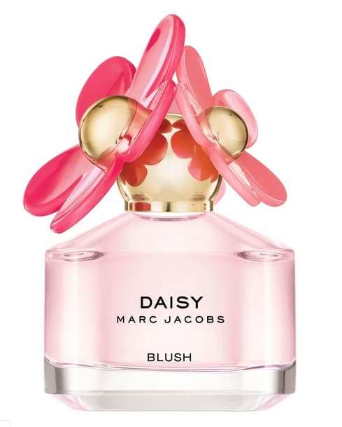 Daisy Blush