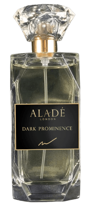 Dark Prominence