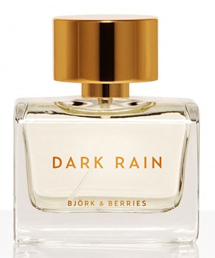 Dark Rain