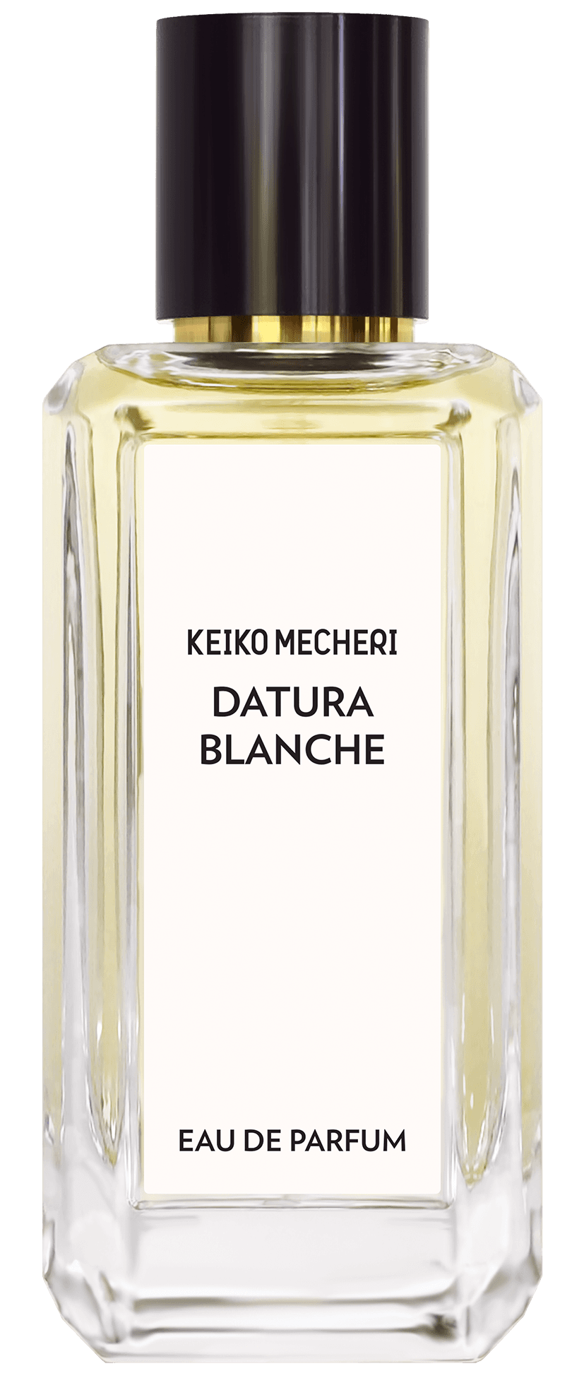 Datura Blanche