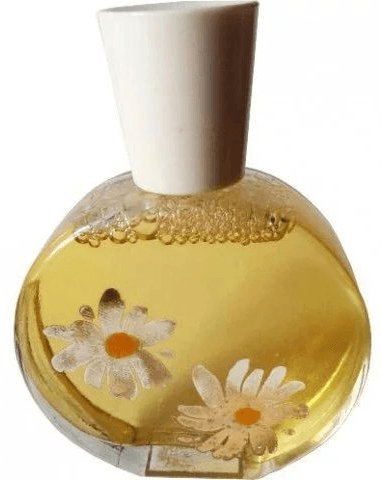 Delicate Daisy