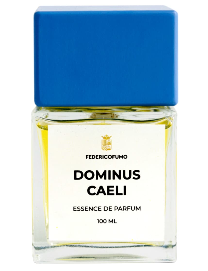 Dominus Caeli