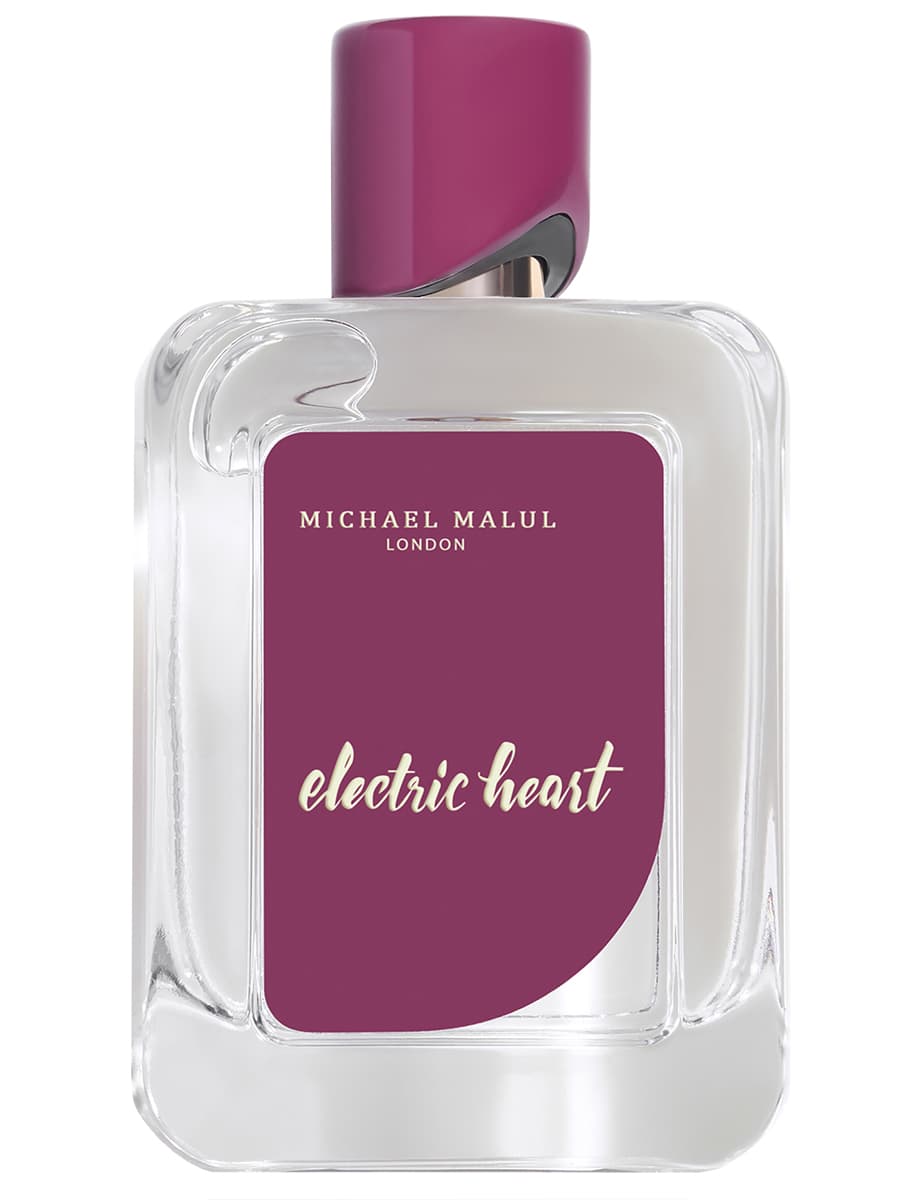 Electric Heart