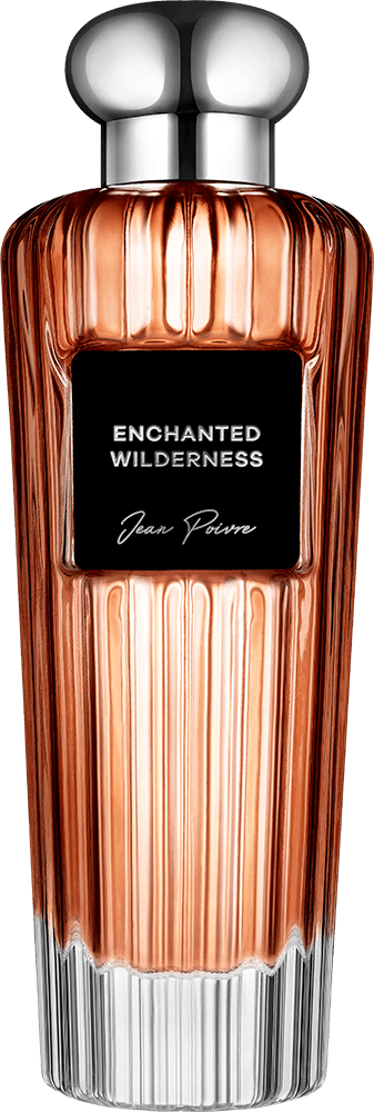Enchanted Wilderness