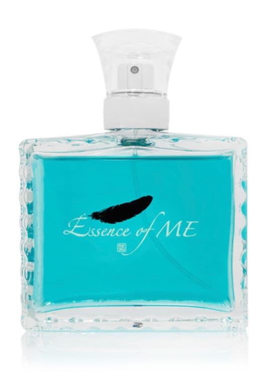 Essence of ME