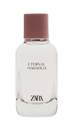 Eternal Magnolia