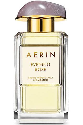 Evening Rose