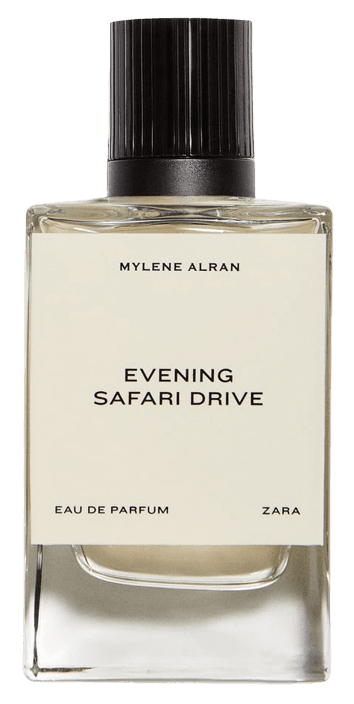 Evening Safari Drive