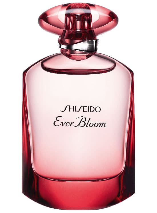 Ever Bloom Ginza Flower