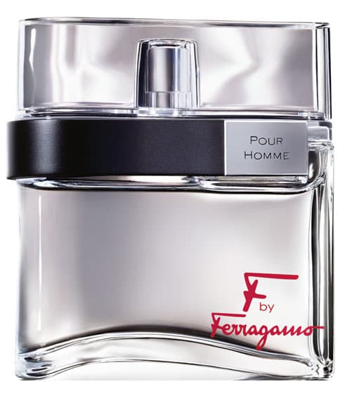 F by Ferragamo Pour Homme