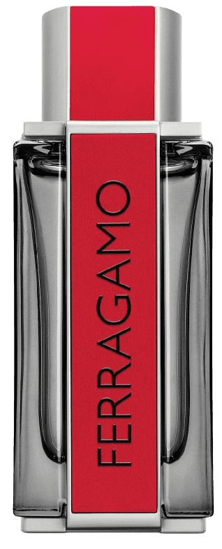 Ferragamo Red Leather