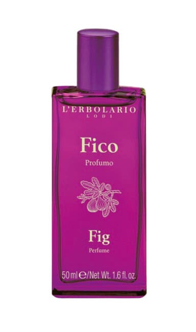 Fico / Fig