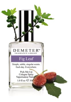 Fig Leaf