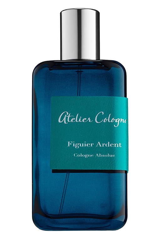Figuier Ardent