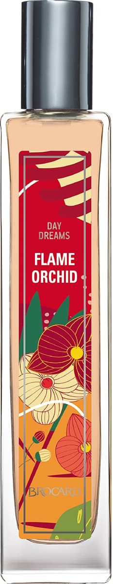 Flame Orchid