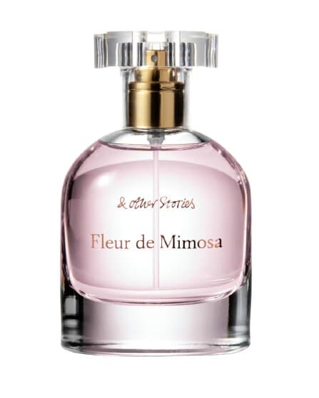 Fleur de Mimosa