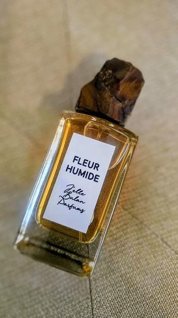 Fleur Humide