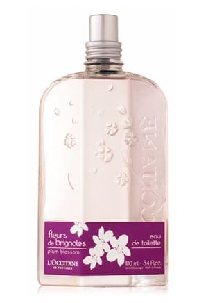 Fleurs de Brignoles (Plum Blossom)