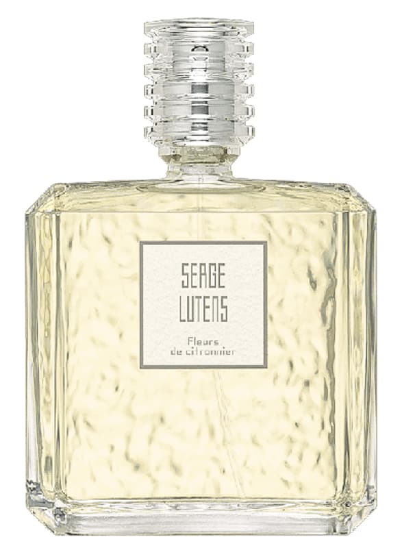 Fleurs de Citronnier