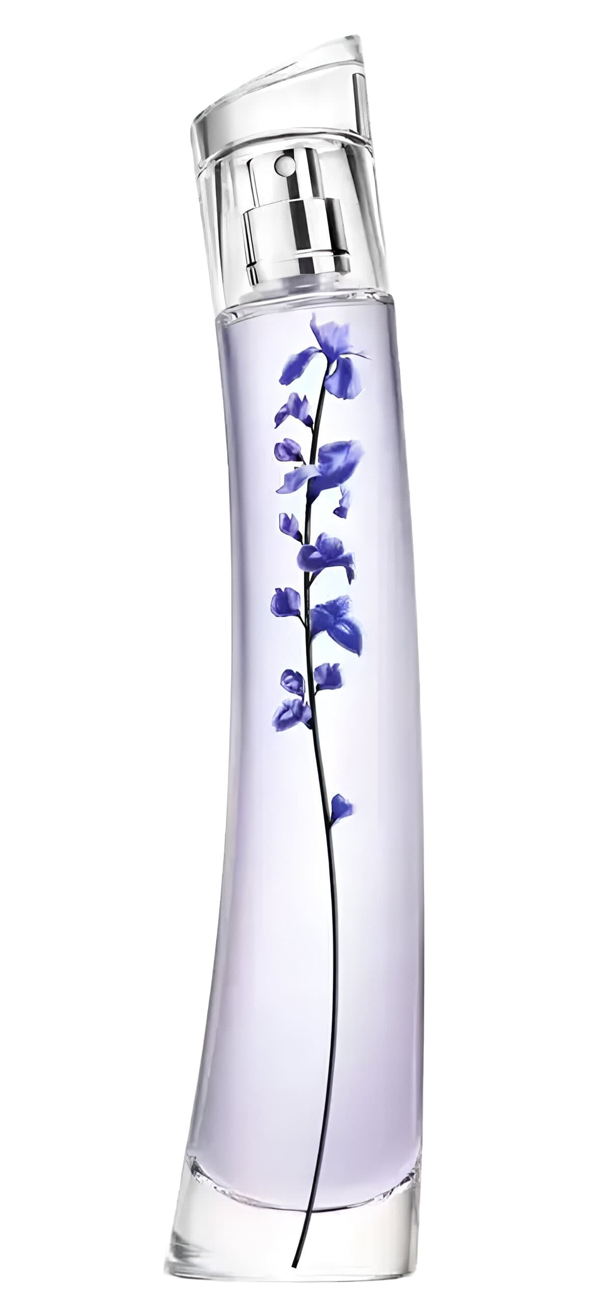 Flower Ikebana Indigo