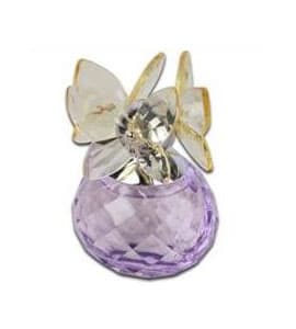 Flower Season Butterfly Lady