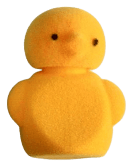 Fluffy Chick