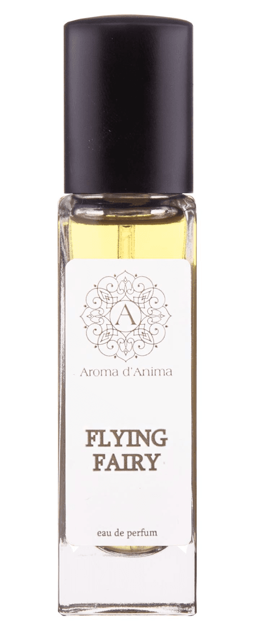 Flying Fairy