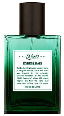 Forest Rain