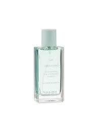Fresh Mint