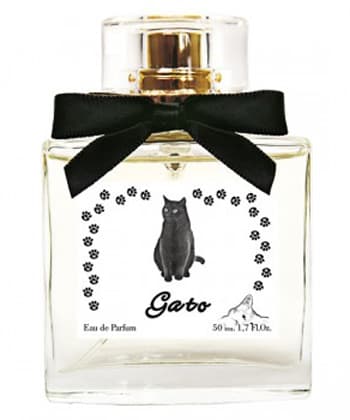 Gato